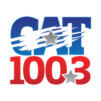 100.3 The Cat logo