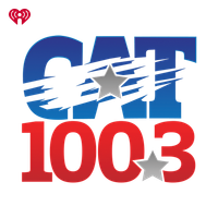 100.3 The Cat logo