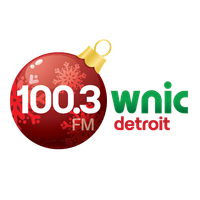 100.3 WNIC logo