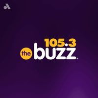 105.3 The Buzz logo