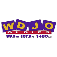 1480, 99.5 & 107.9 WDJO logo