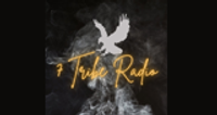 Logotipo de 7 Tribe Radio Station
