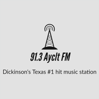 91.3 Ayclt FM logo