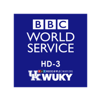 91.3 WUKY HD3 logo