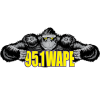 95.1 WAPE logo
