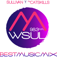 98.3 WSUL logo