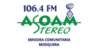 Asoam Stereo logo