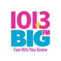 BIG 101.3 logo