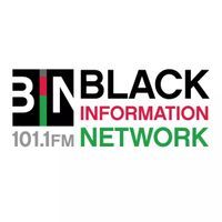 BIN 101.1 logo