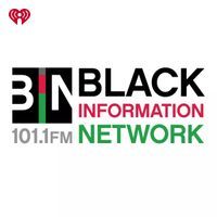 BIN 101.1 logo