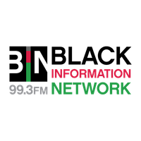 BIN 99.3 logo
