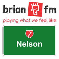 Brian FM Nelson logo