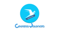 Celestial Vallenata logo