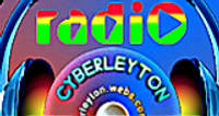 CyberLeyton NonStop logo