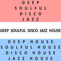 Deep Soulful Disco Jazz House logo