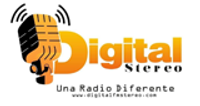 Digital Stereo logo