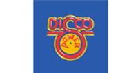 Disco Power logo