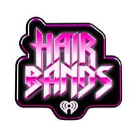 Hair Bands logo