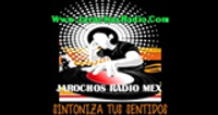 JarochosRadio.Com MX logo