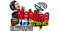 Neblina Stereo logo