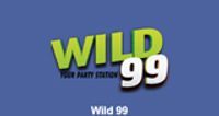 Powerhitz - Wild99 logo