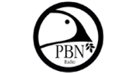 Logotipo de Praise Broadcast Network