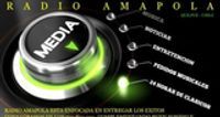 Radio Amapola logo