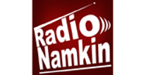 Radio Namkin logo