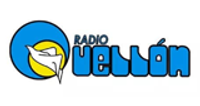 Radio Quellón logo