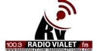 Radio Vialet Fm 100.3 logo