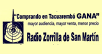 Radio Zorrilla de San Martin logo