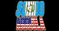 Sonido Arriola logo