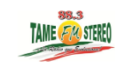 Tame FM Stereo 88.3 logo