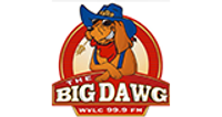 The Big Dawg logo