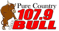 The Bull logo