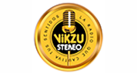 Vikzu Stereo logo