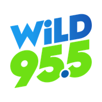 WiLD 955 logo