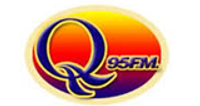 Wice QFM logo