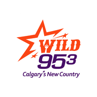 WILD 95.3 logo