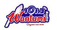 Wontumi Radio logo