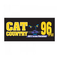 WWYY-FM Cat Country 107.1 logo