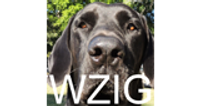 WZIG 104.1 FM logo